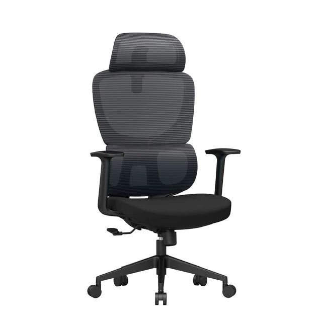 Office Lumbar Chair