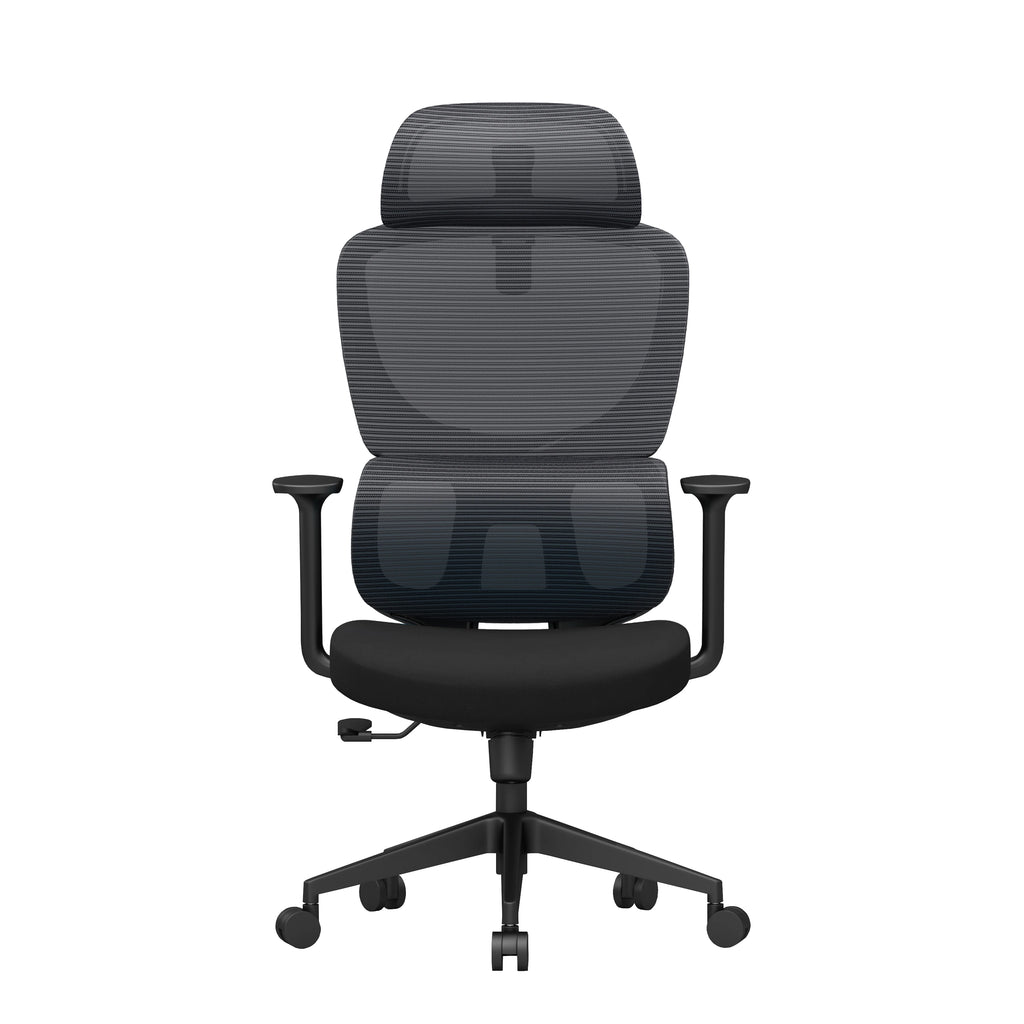 Office Lumbar Chair