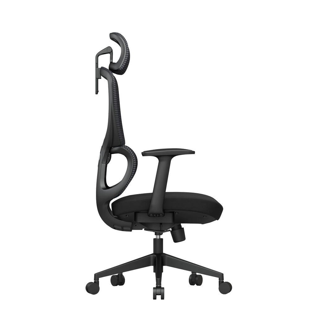 Office Lumbar Chair
