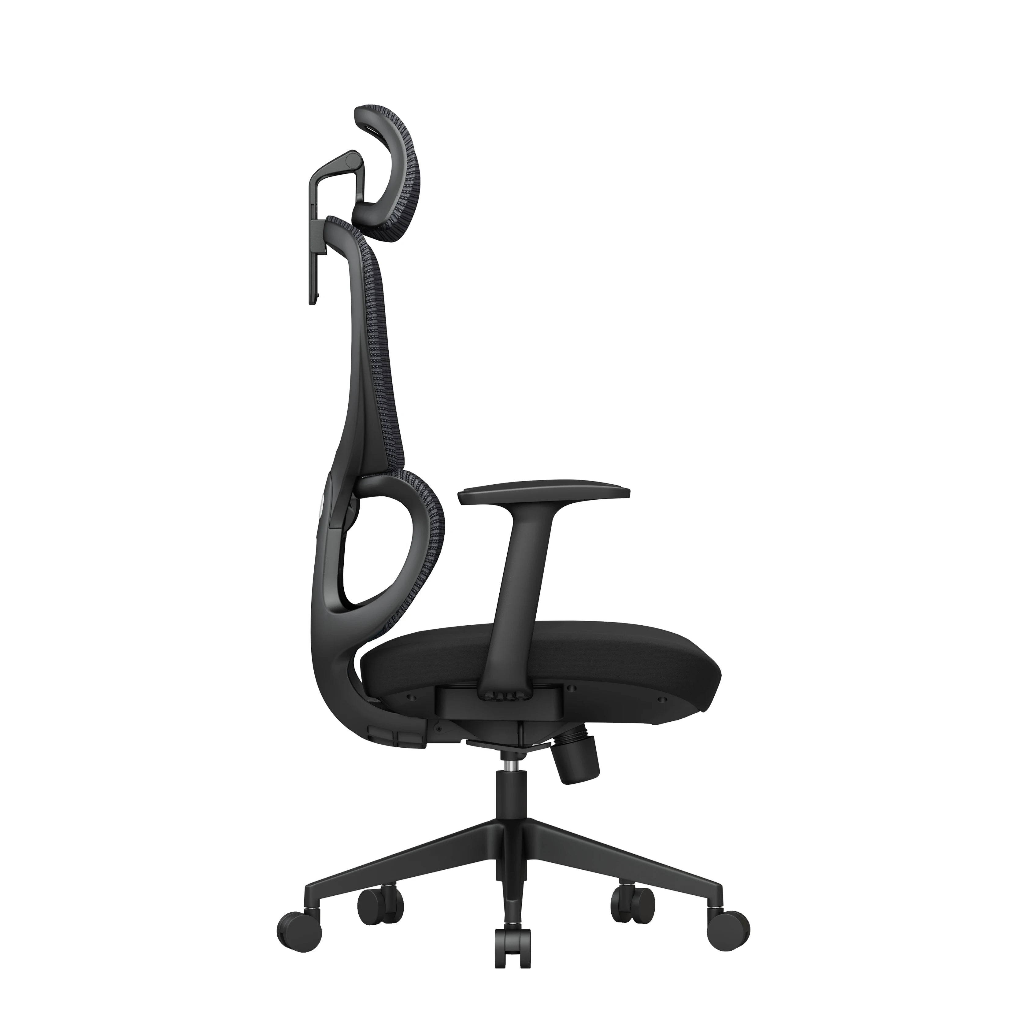 Office Lumbar Chair
